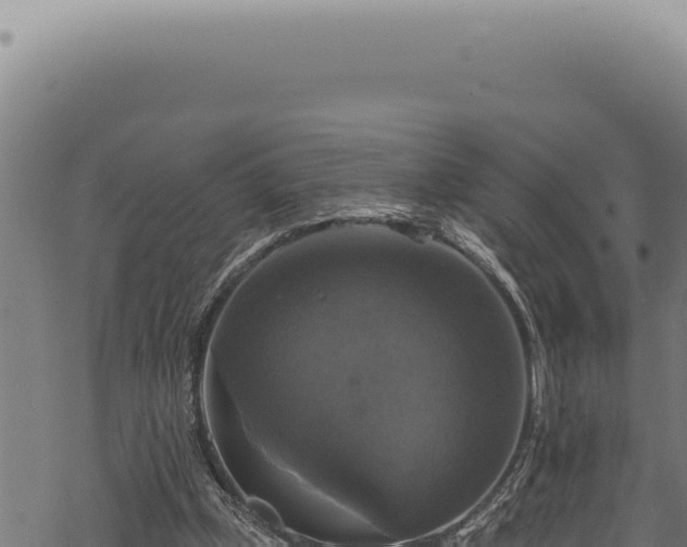 X0000068840249200605121414