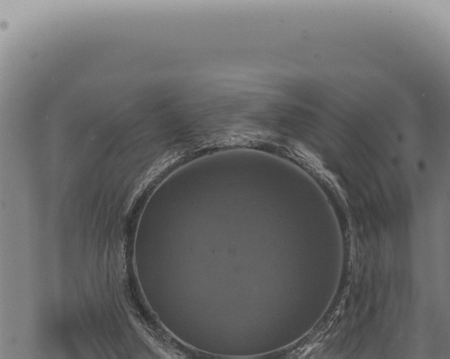 X0000068840250200605121414