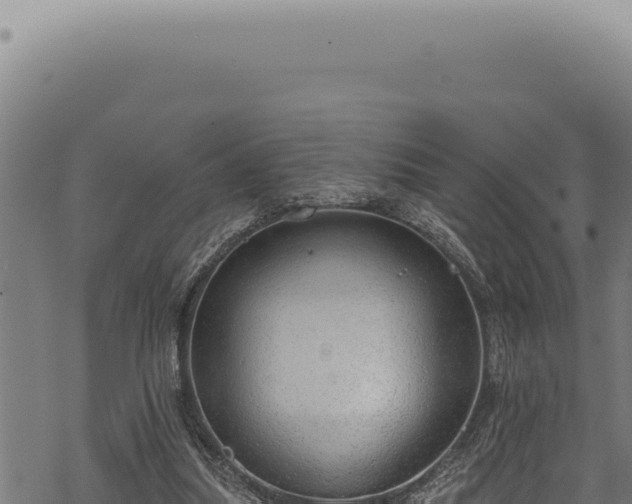 X0000068840251200605121414