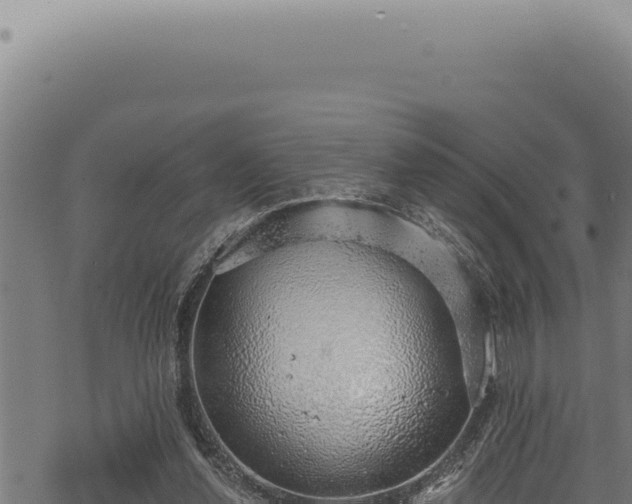 X0000068840252200605121414