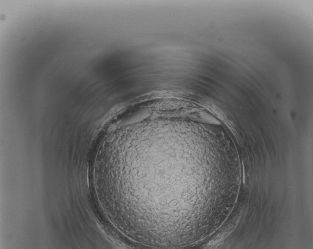 X0000068840253200605121414