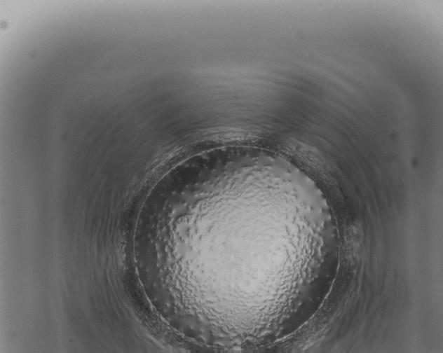 X0000068840255200605121414