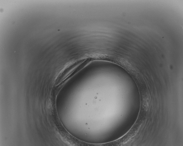 X0000068840256200605121414