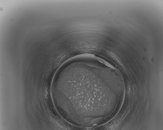 X0000068840259200605121414