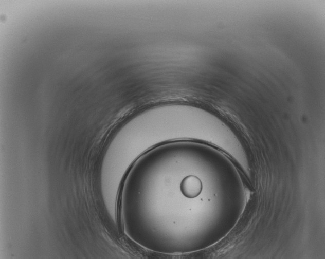 X0000068840260200605121414