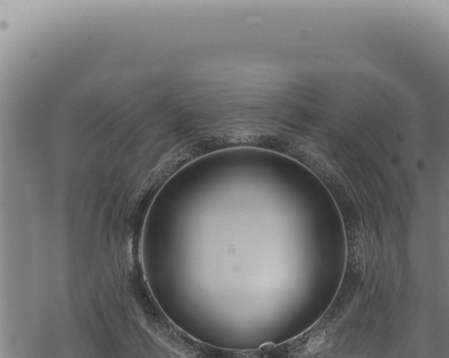 X0000068840262200605121414