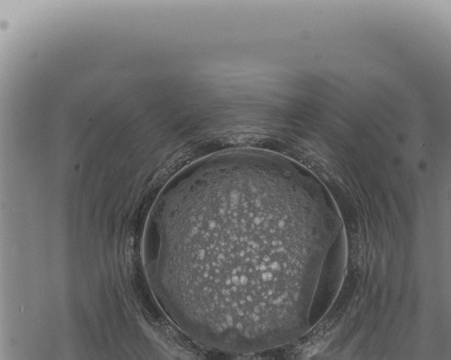 X0000068840263200605121414