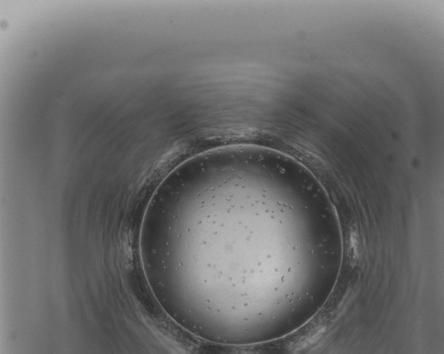 X0000068840264200605121414