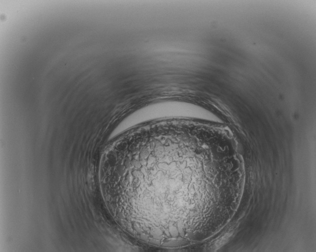 X0000068840265200605121414