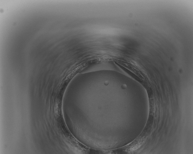 X0000068840266200605121414