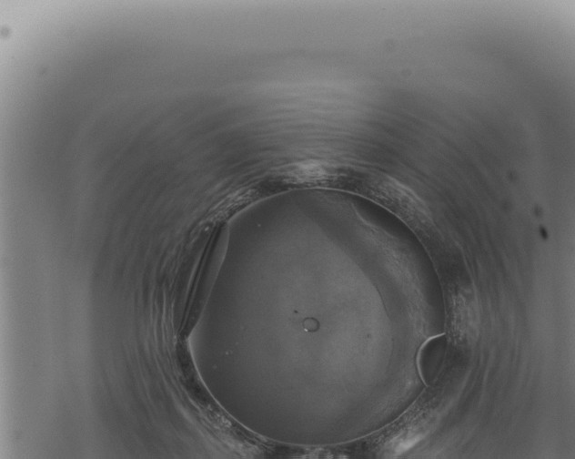 X0000068840267200605121414