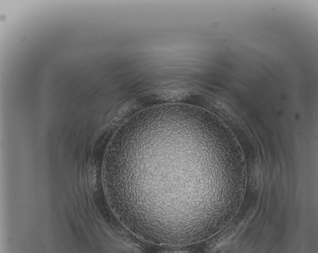 X0000068840268200605121414