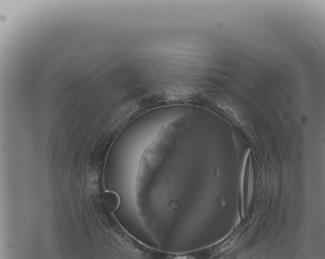 X0000068840269200605121414