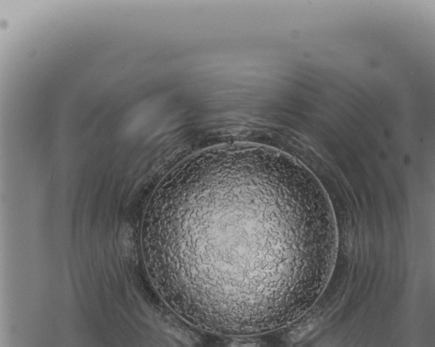 X0000068840270200605121414