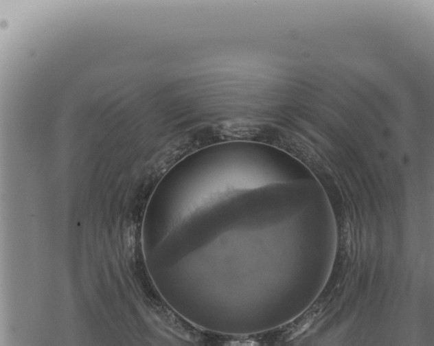 X0000068840271200605121414