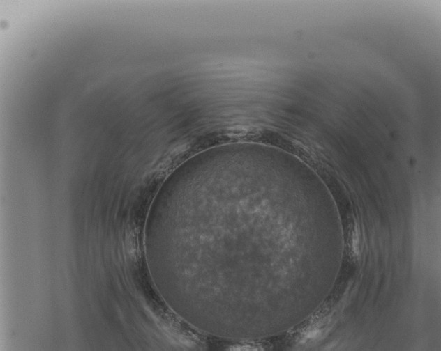 X0000068840272200605121414