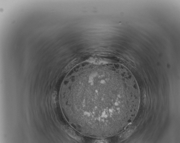 X0000068840275200605121414