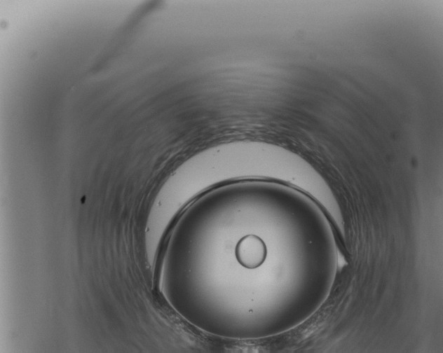 X0000068840276200605121414