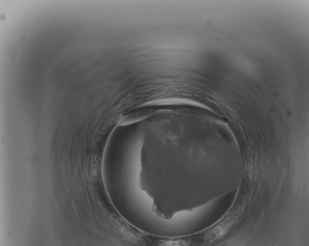 X0000068840277200605121414