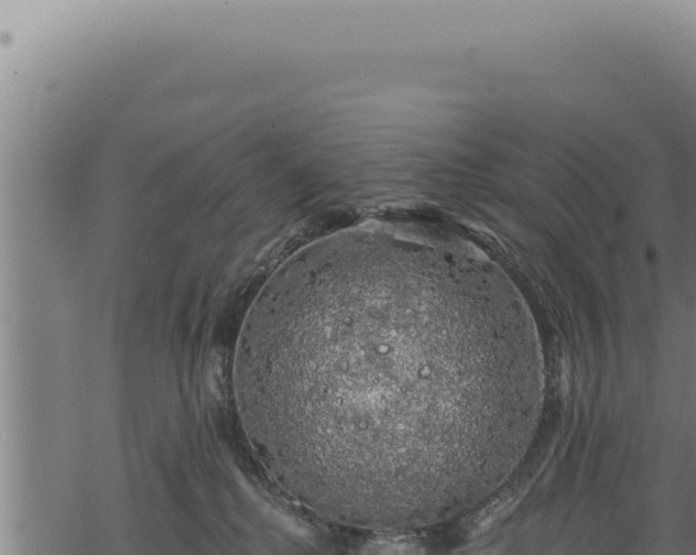 X0000068840280200605121414