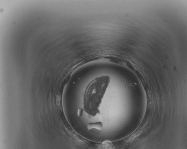 X0000068840281200605121414