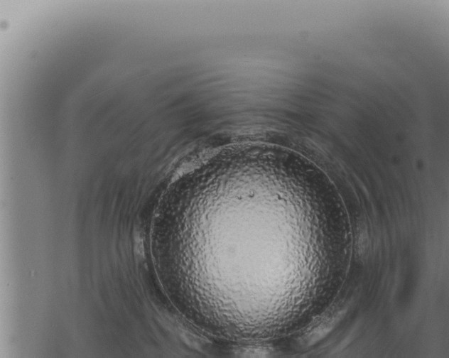 X0000068840282200605121414