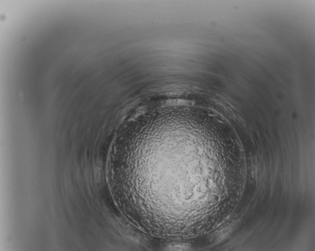 X0000068840283200605121414