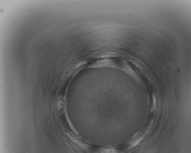 X0000068840284200605121414