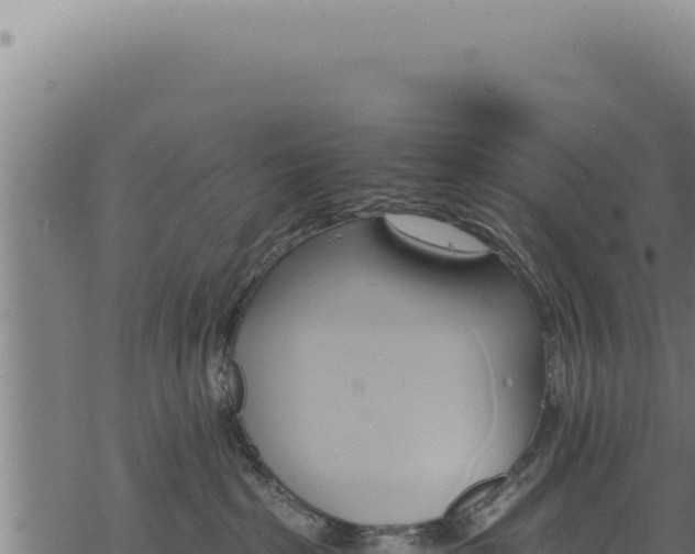 X0000068840285200605121414