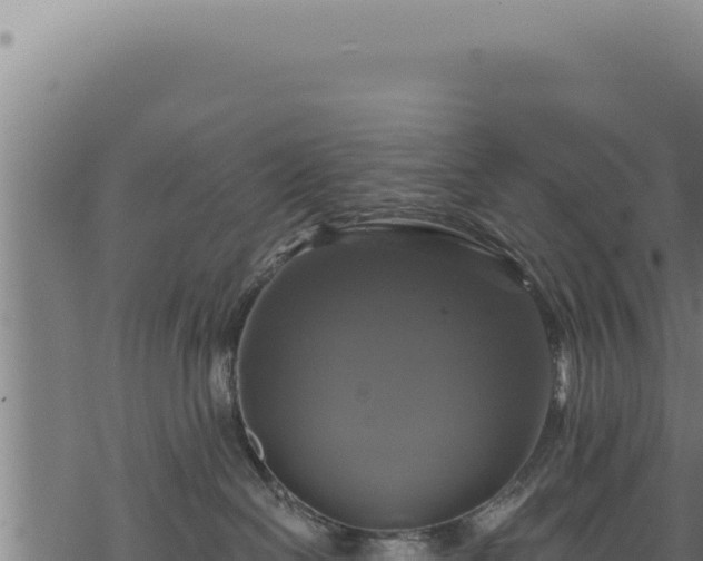 X0000068840286200605121414