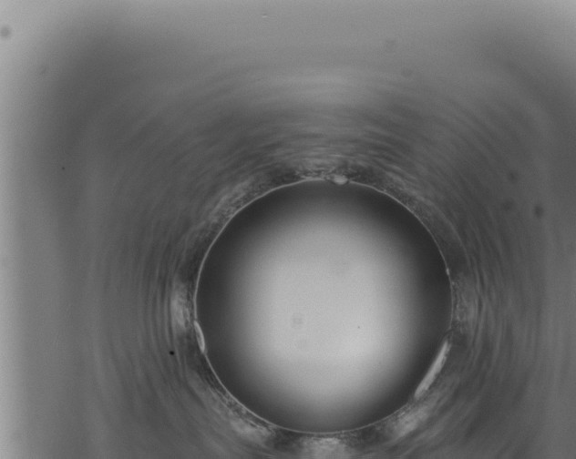 X0000068840287200605121414