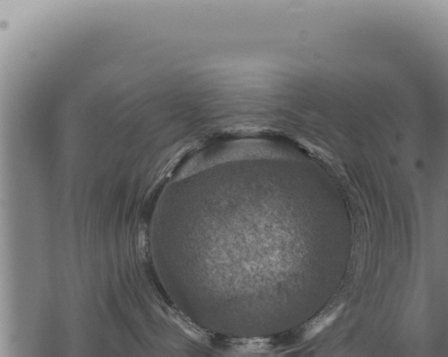 X0000068840288200605121414