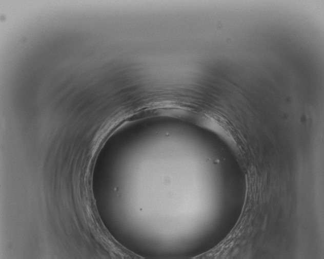 X0000068840289200605121414