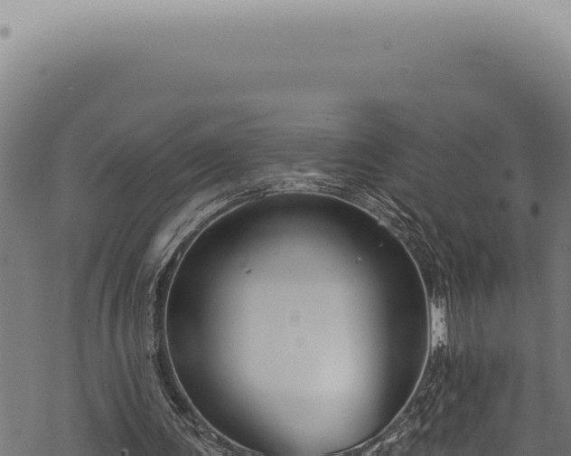 X0000068840291200605121413