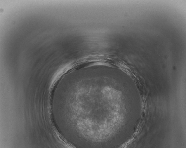 X0000068840293200605121413