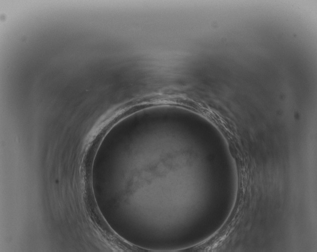 X0000068840295200605121413