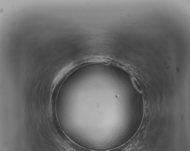 X0000068840296200605121413