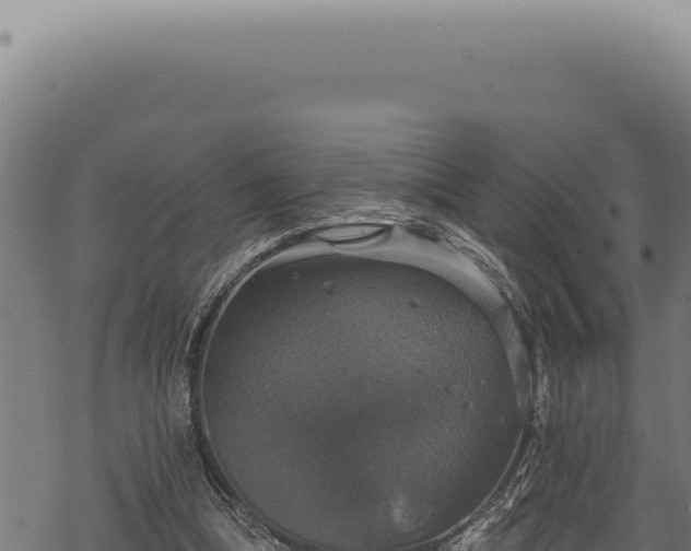 X0000068840298200605121413