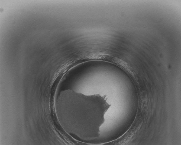 X0000068840299200605121413