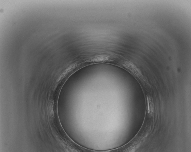 X0000068840300200605121413