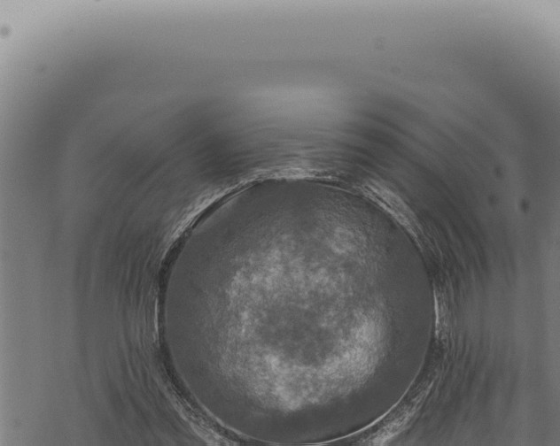 X0000068840301200605121413