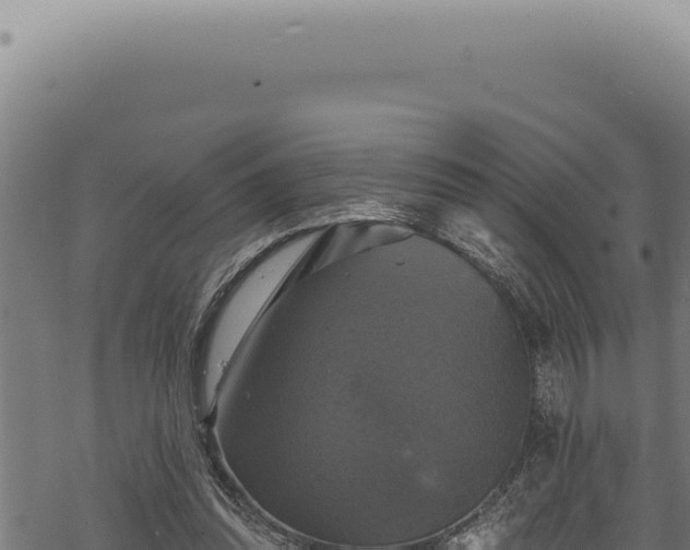 X0000068840302200605121413