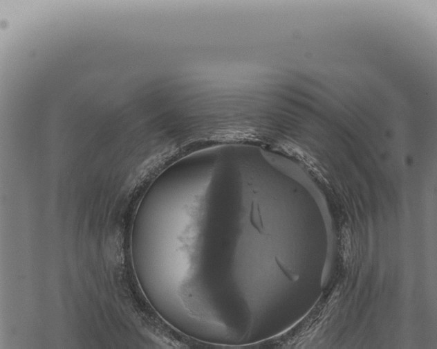 X0000068840303200605121413