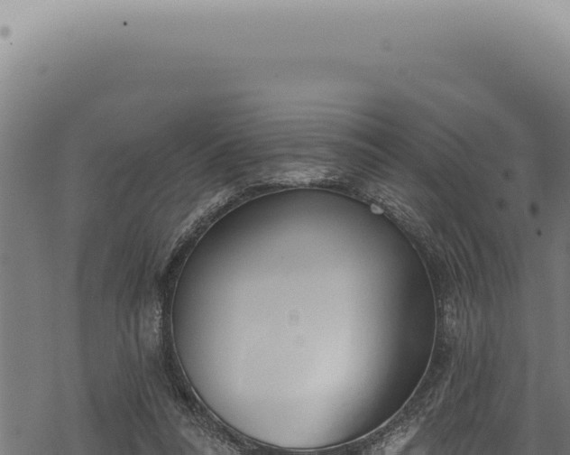 X0000068840304200605121413