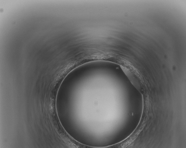 X0000068840305200605121413