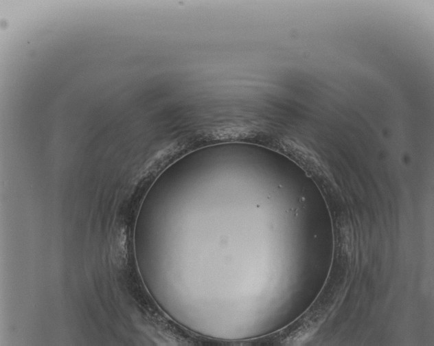 X0000068840308200605121413