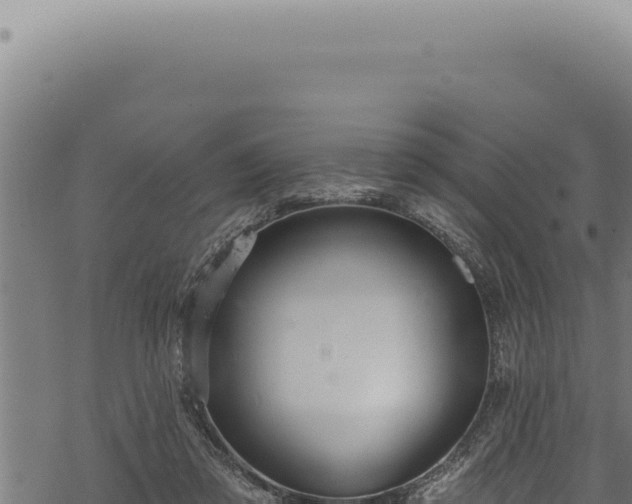 X0000068840309200605121413