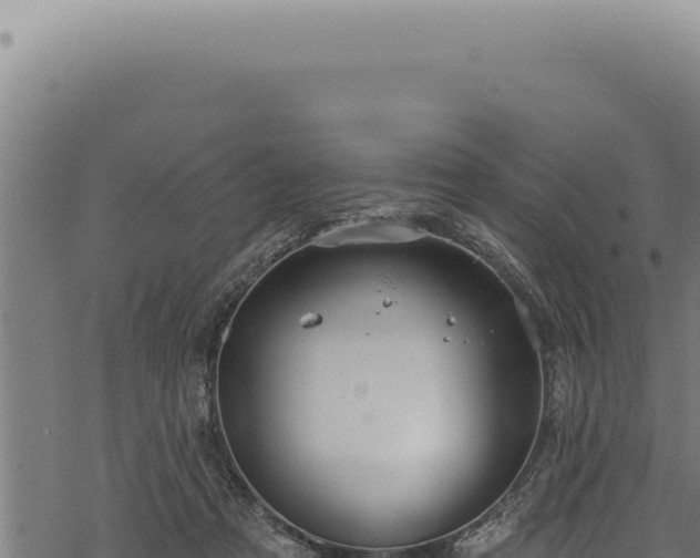 X0000068840313200605121413