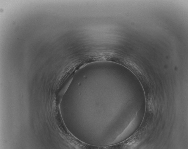 X0000068840314200605121413