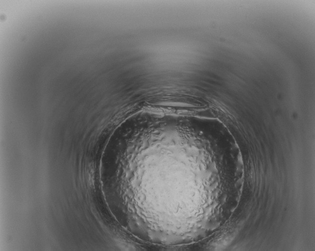 X0000068840315200605121413